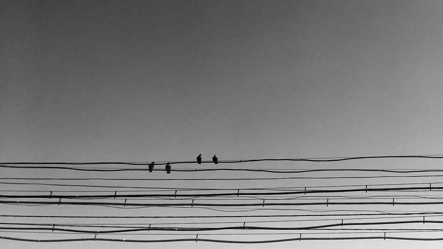 , Антон Лаба