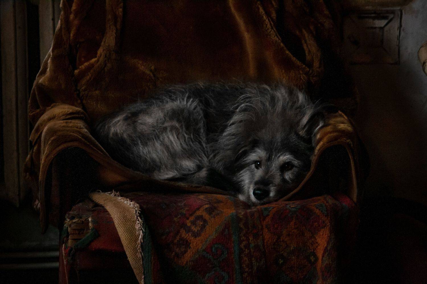 , Алёна Данильчук