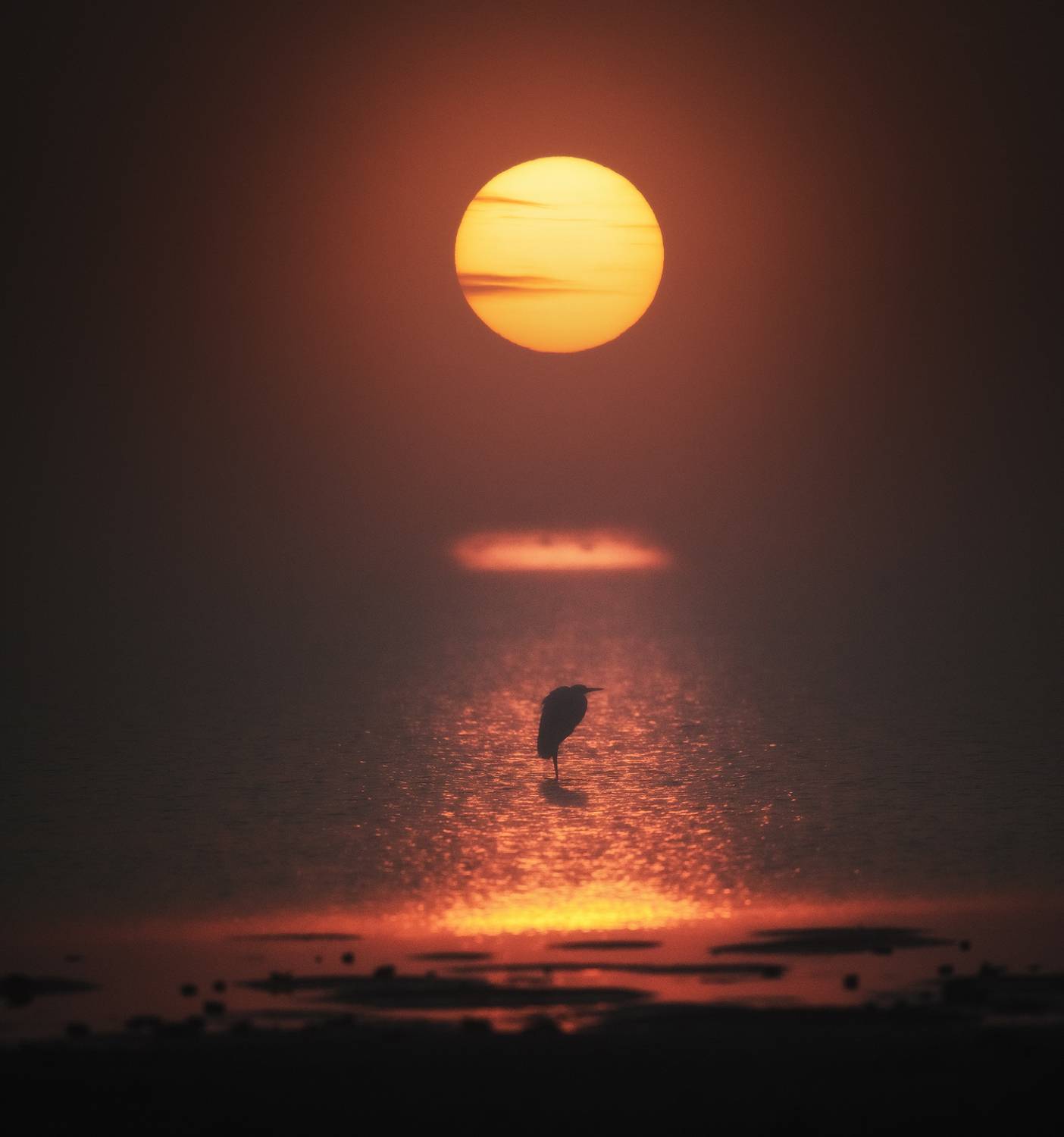 , Красимир Матаров