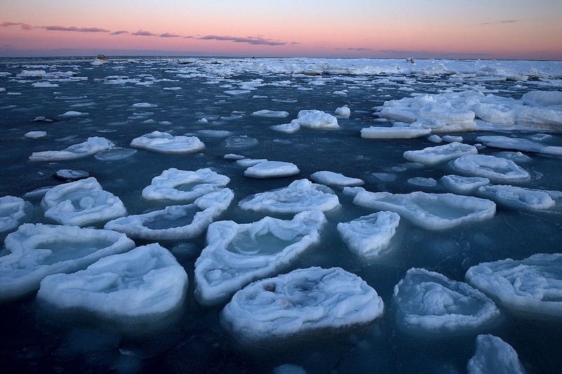 Морские плюшки фото превью
