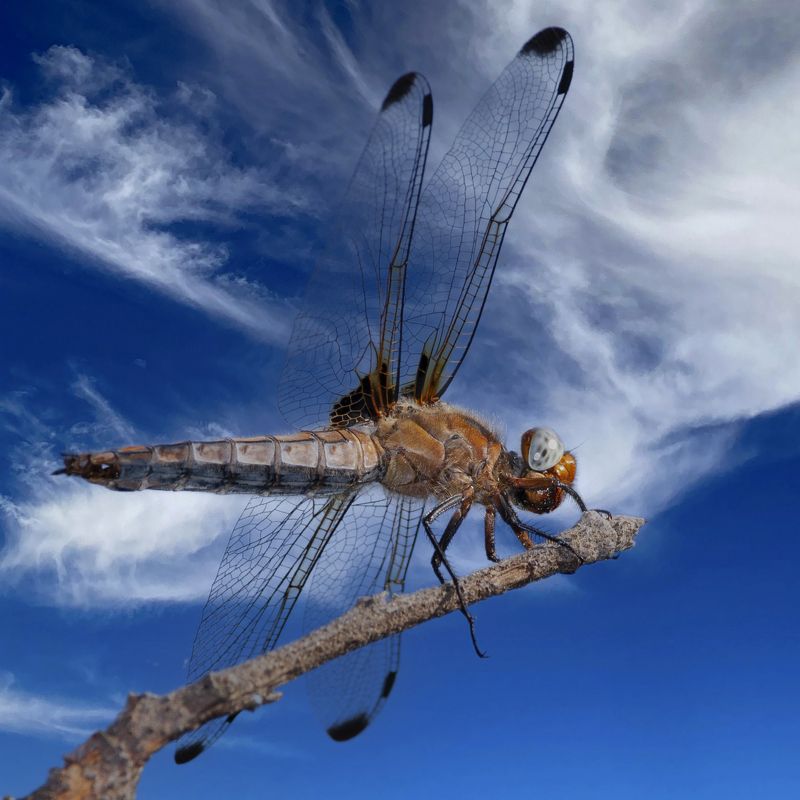 Под облаками фото превью