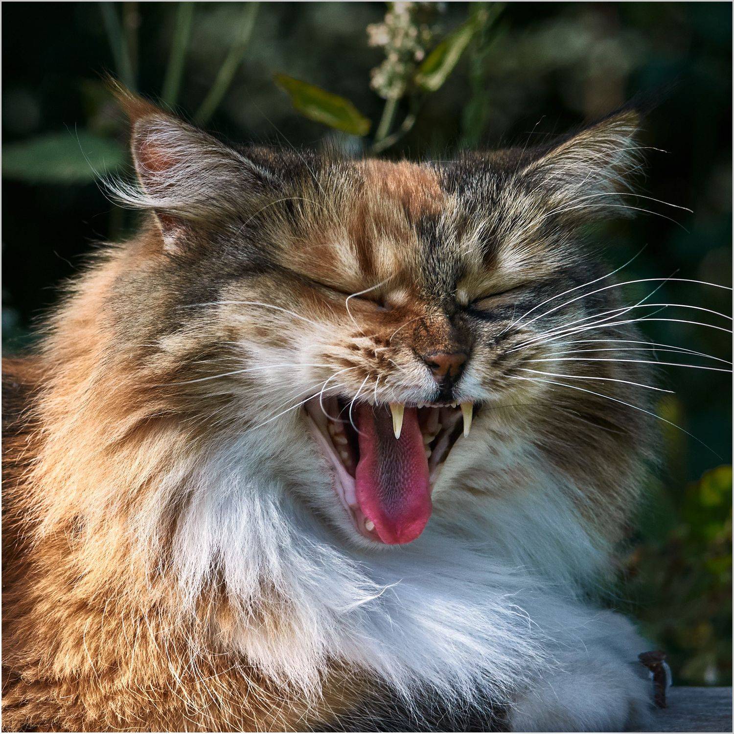 , Владимир Краснов