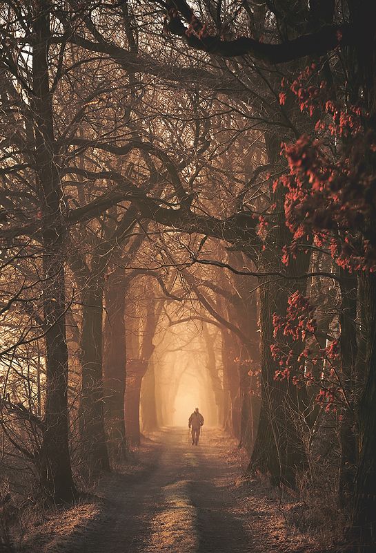 Go... фото превью