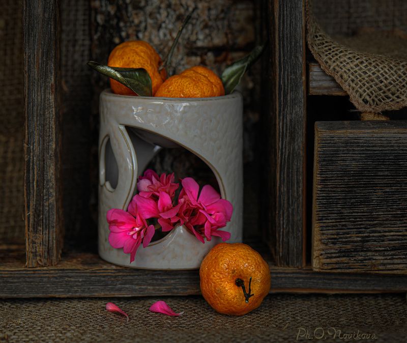 *** фото превью