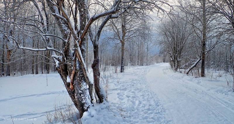 30 ноября. фото превью