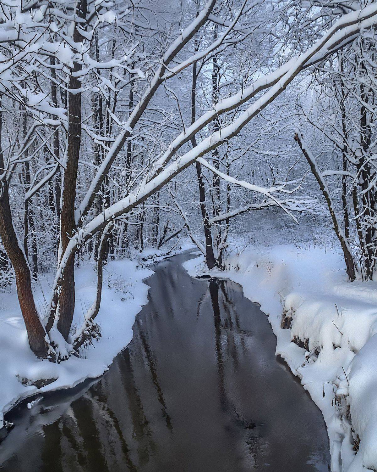 пейзаж, природа, nature, landscape, winter, зима, лес, forest, ручей, Julia Kaissa