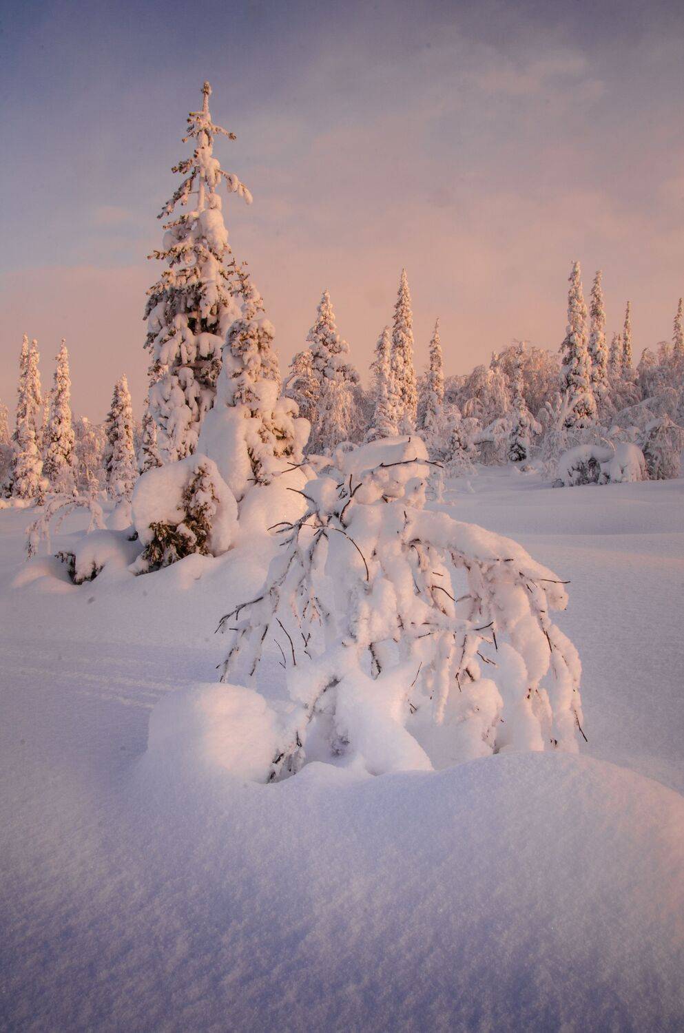 , Абрамов Денис