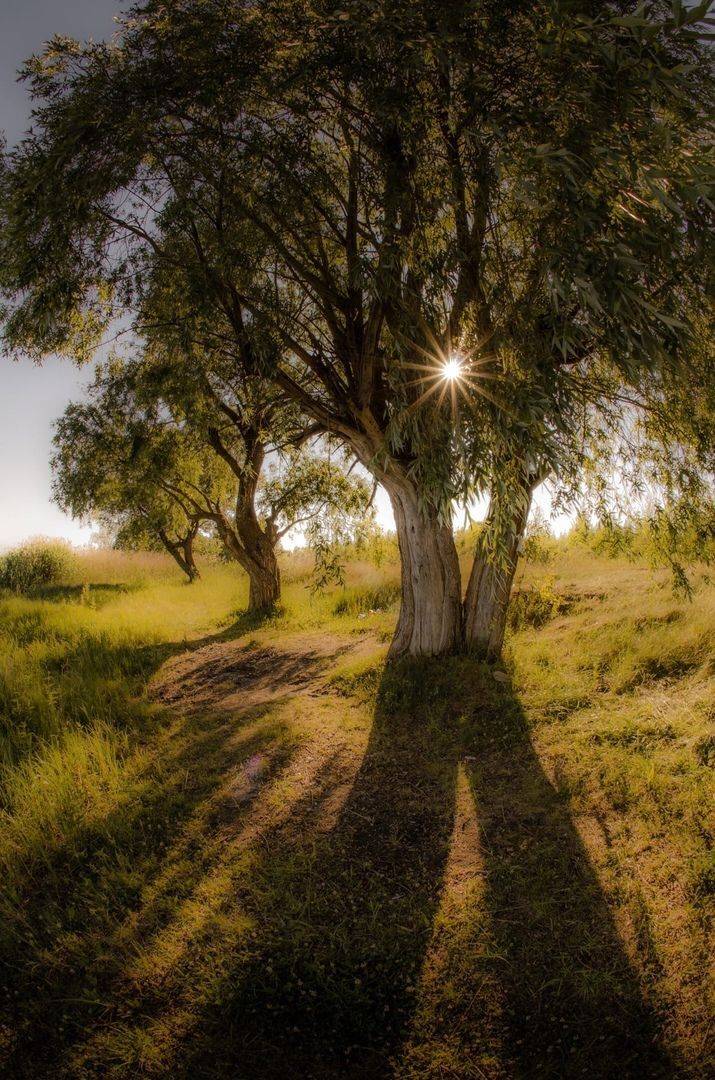 , Абрамов Денис