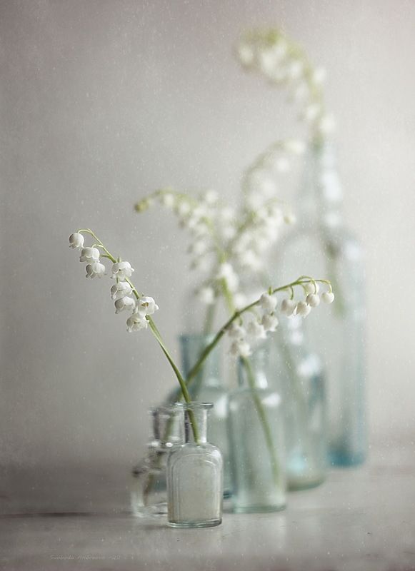 тёплые воспоминания* фото превью