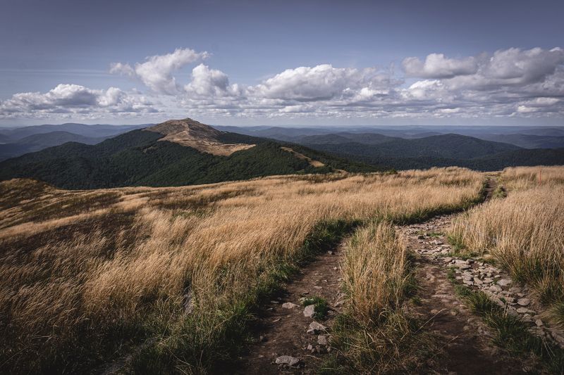 bieszczady, połonina, wetlińska, pasture, wetlina, smerek, cisna, ustrzyki, wołosate, caryńska, poland, fiends, mountains, podkarpacie, podkarpackie, tourism, trekking, hiking, green, grass, autumn, brown, gold, sky, blue, cottage, pooh, trail, panorama,  Połonina Wetlińska фото превью