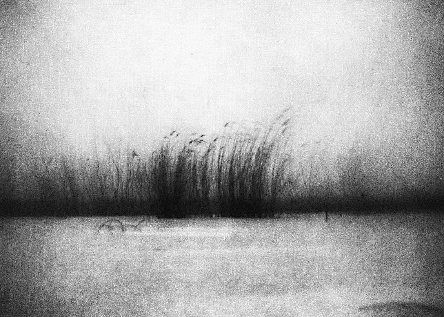 , Татьяна Аверина