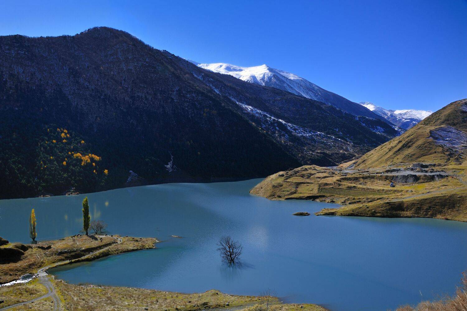 , Владимир Кулаков