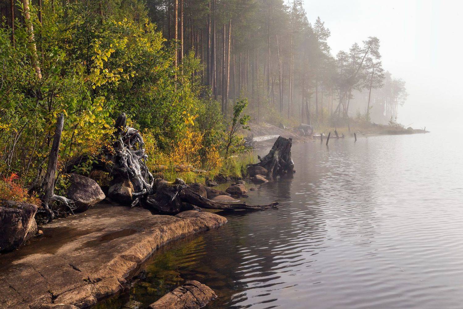 карелия., Ярослав Лукьянов