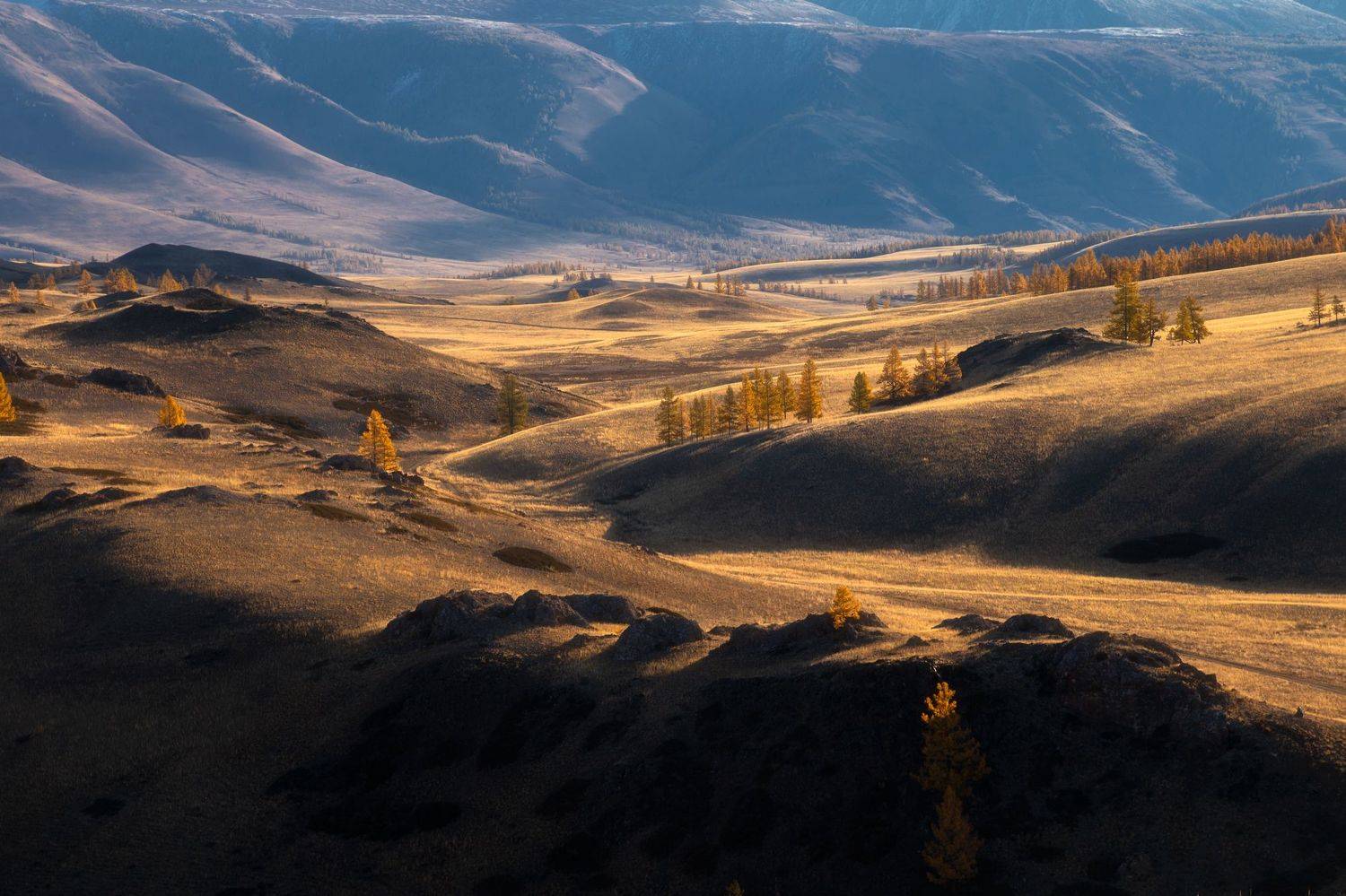 , Юрий Столыпин