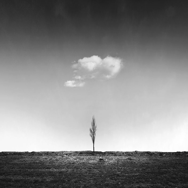 Companionship фото превью