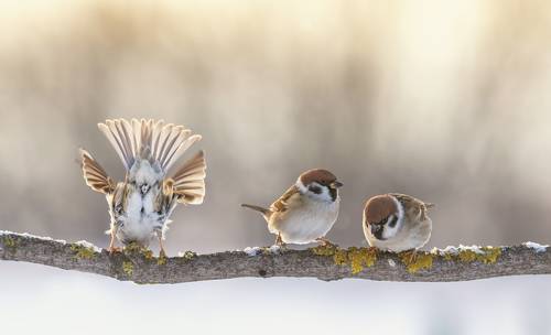 Удачный ракурс