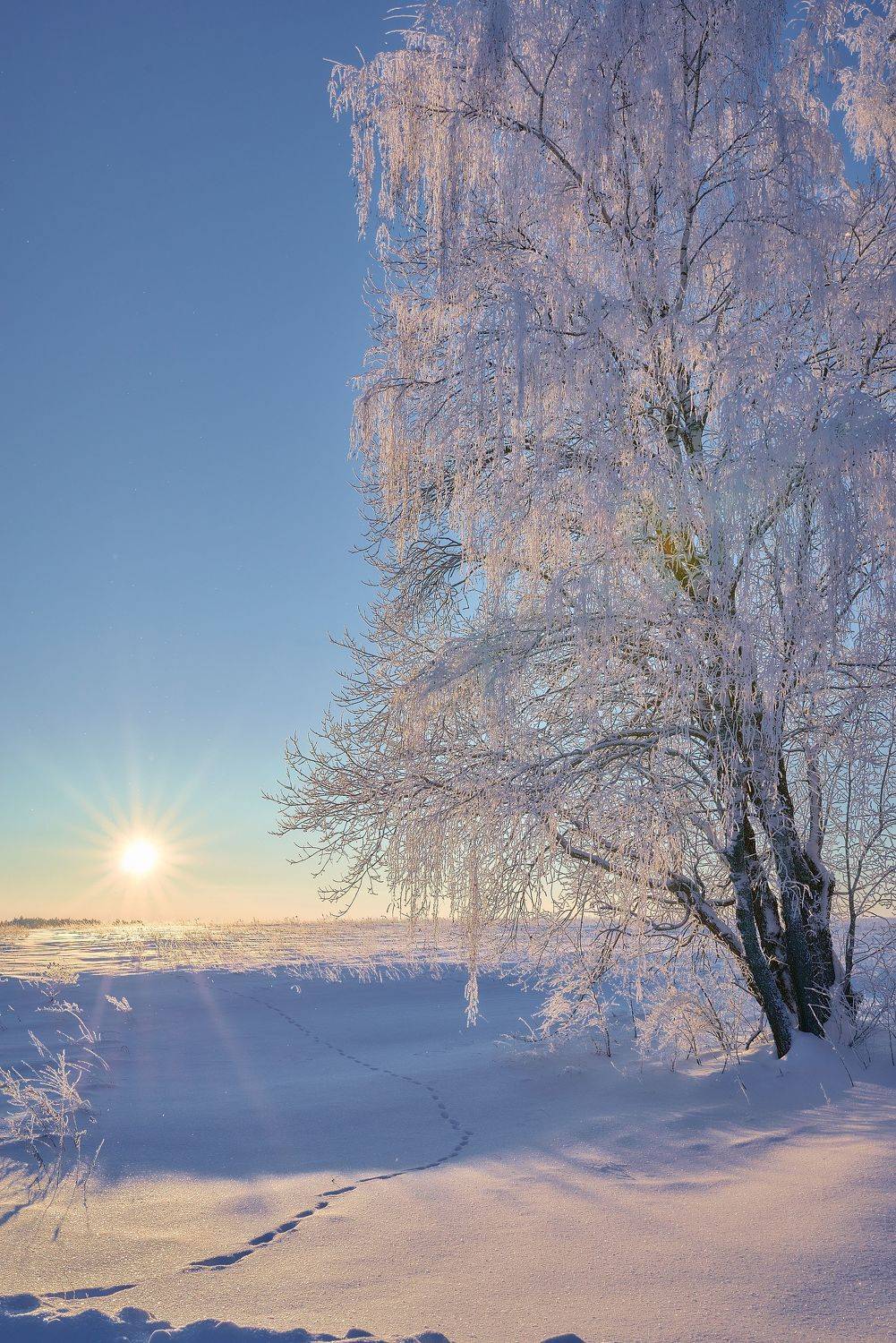 , Владимир Крышковец