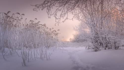 Зимняя прогулка вдоль реки..