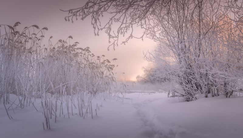 зима, снег, туман, река, иней, мороз Зимняя прогулка вдоль реки.. фото превью