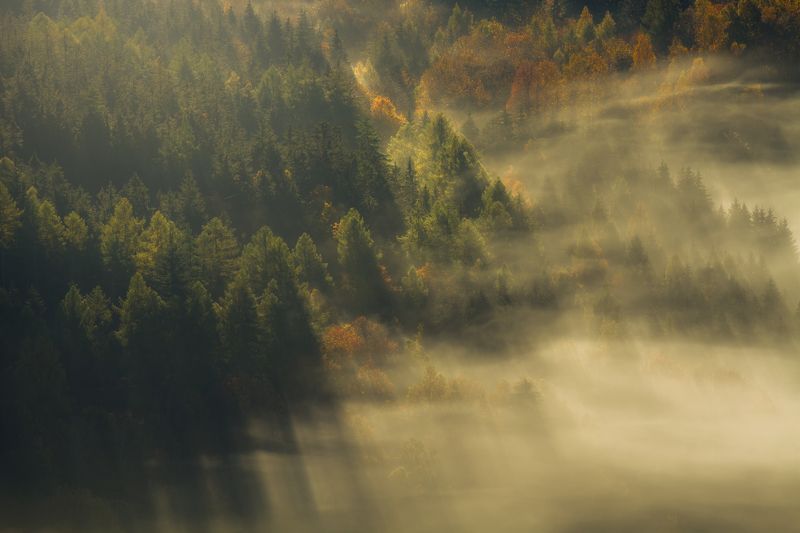 landscape,autumn,mountains,canon A Gentle Touch of Sunlight... фото превью