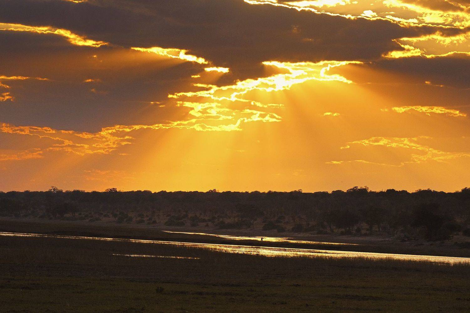 , Худзинская Ирина