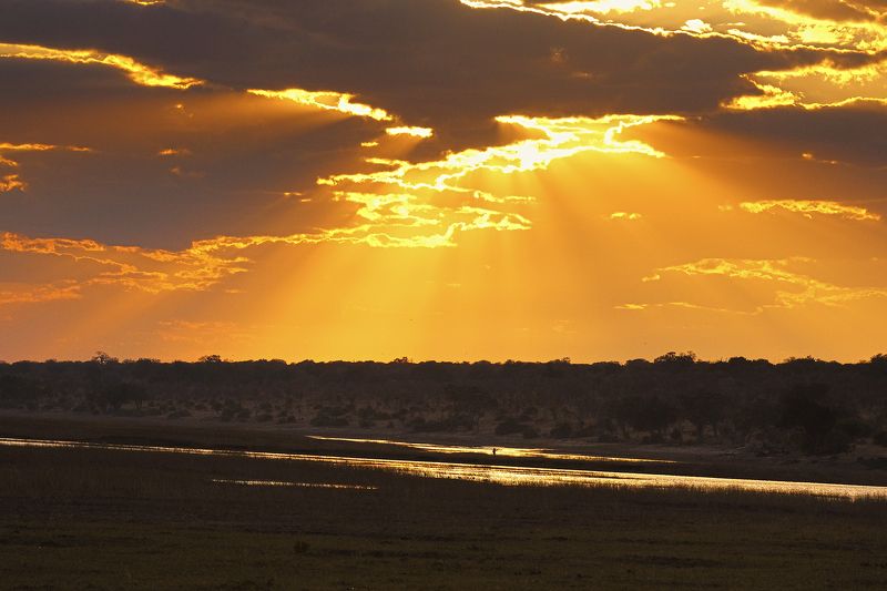 Evening fishing фото превью
