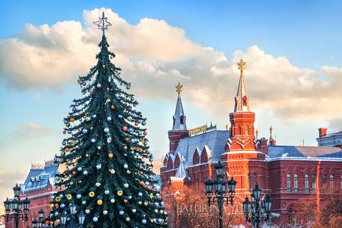 Новогодняя ель