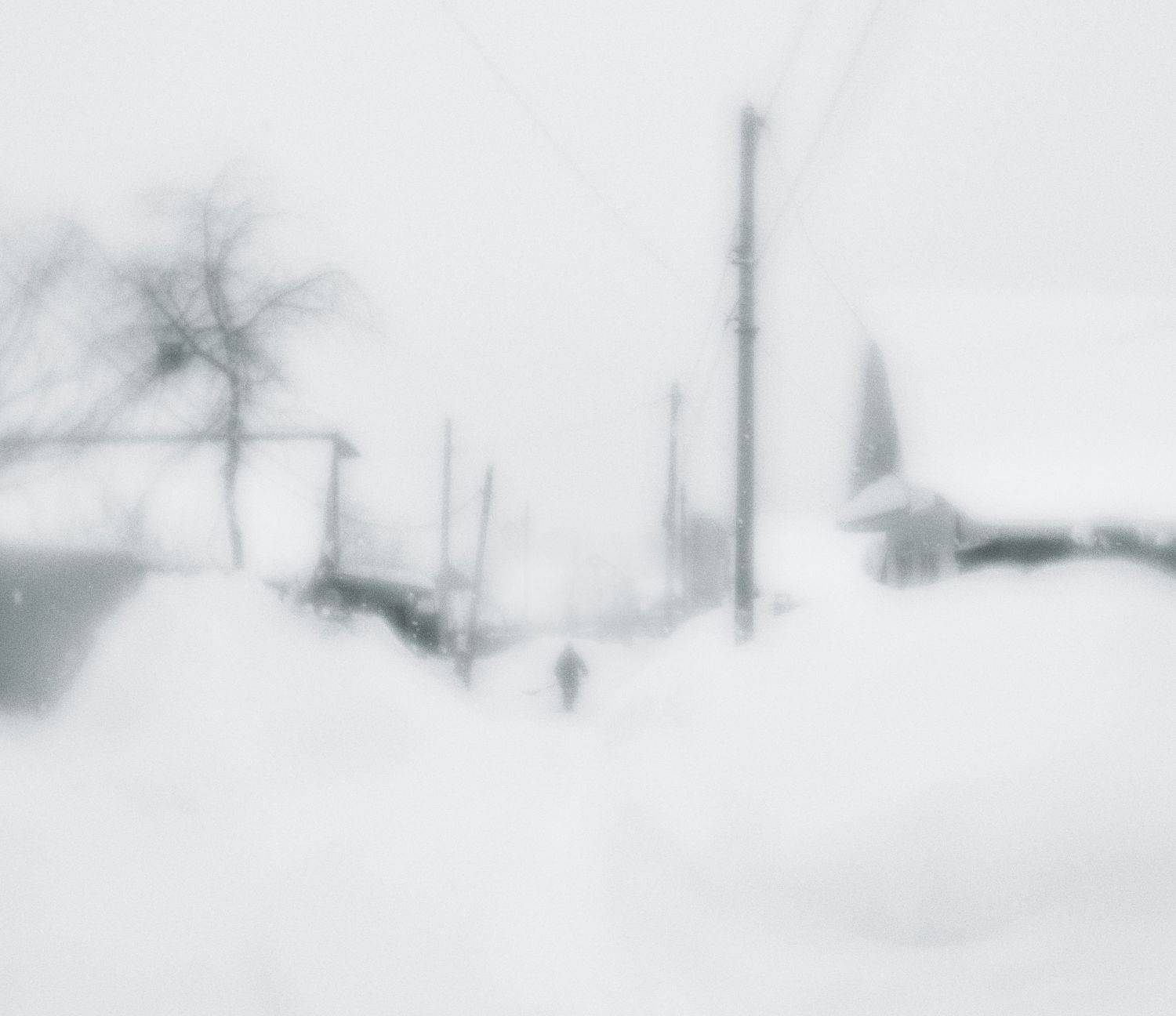 , Лариса Лофицкая