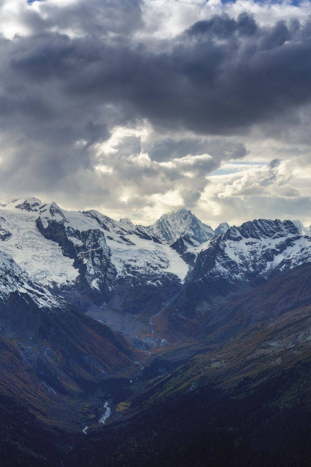 , Юлия Шумляева