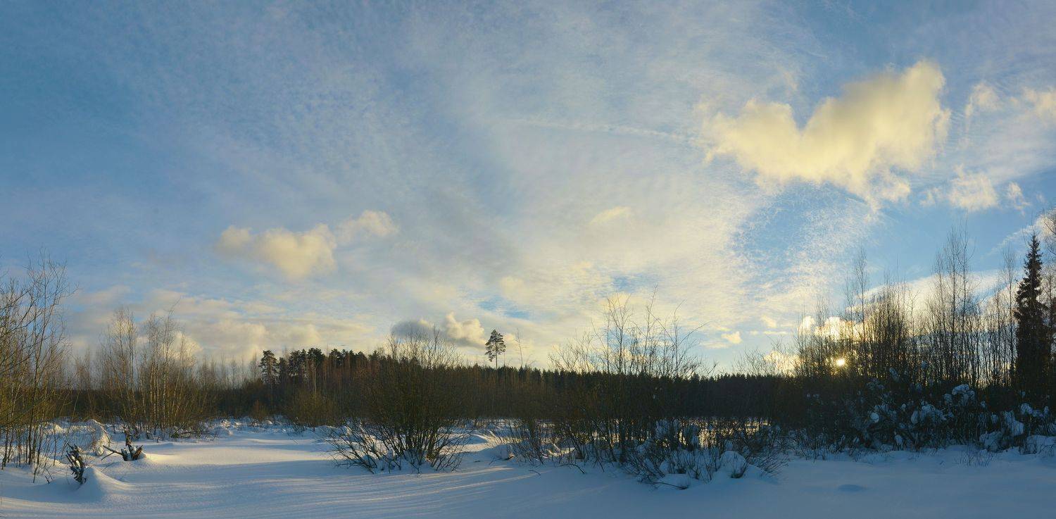 , Сергей Седов