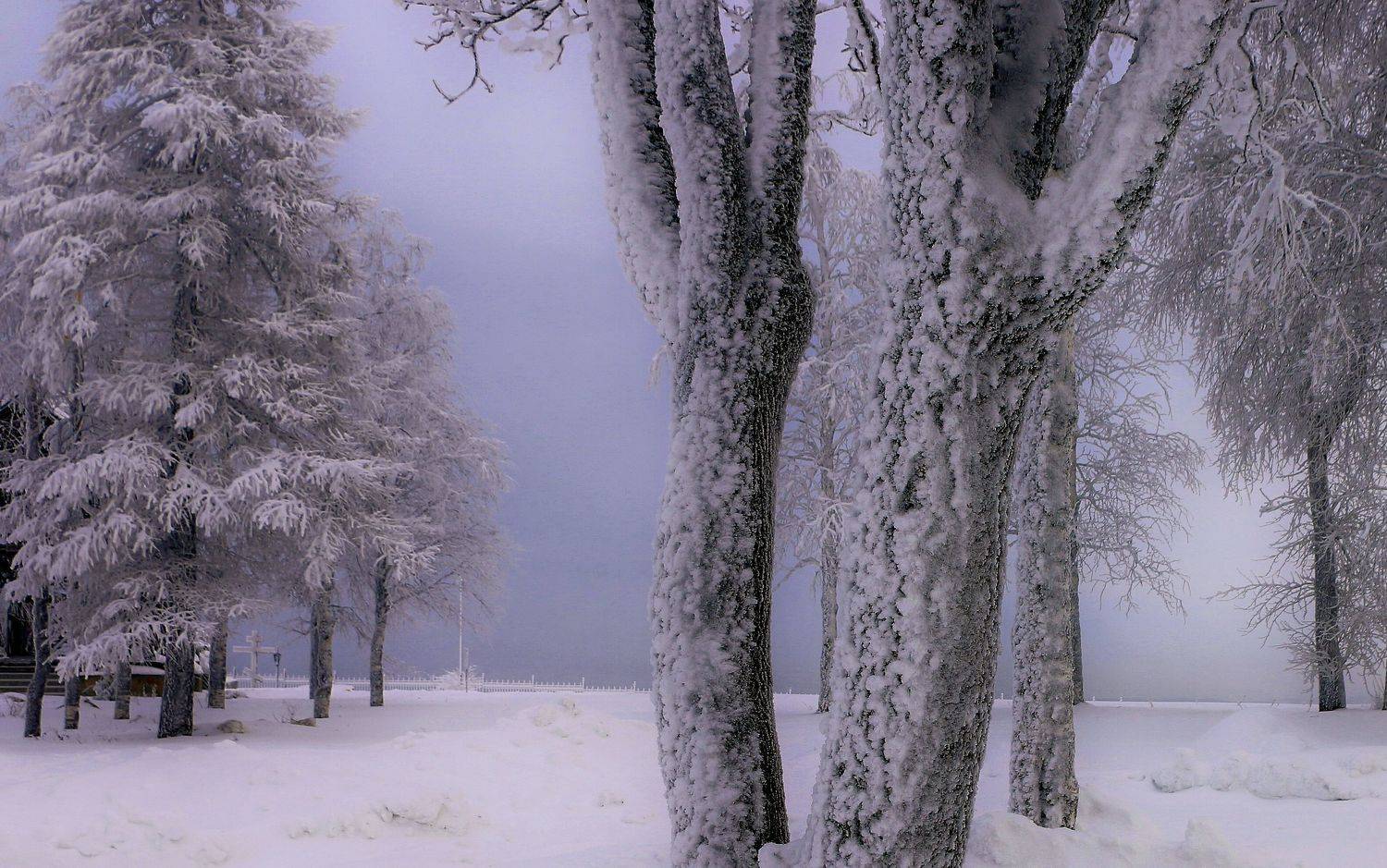 пермский край, гора белая, свято николаевский мужской монастырь,крестовоздвиженский собор, Сергей Марков