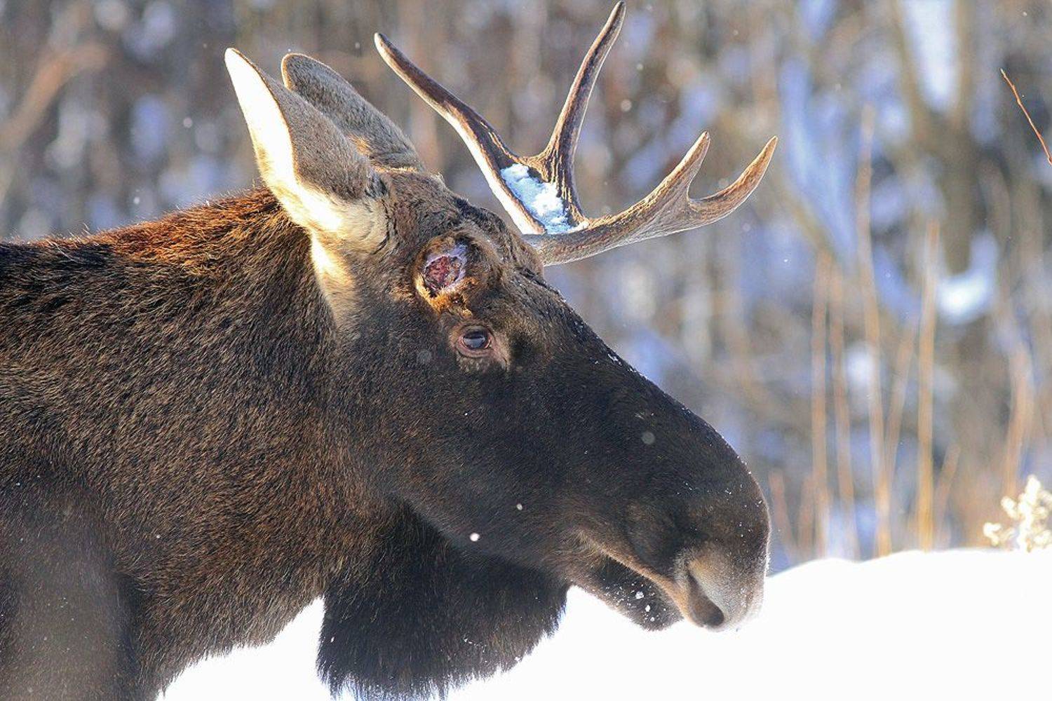 , Михаил Крюков