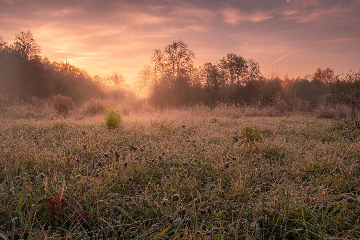 пейзаж, природа, nature, landscape, Семён Кузнецов