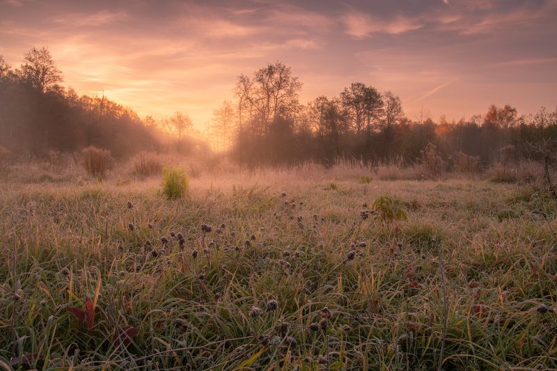 Поле, рассвет, иней... фото превью