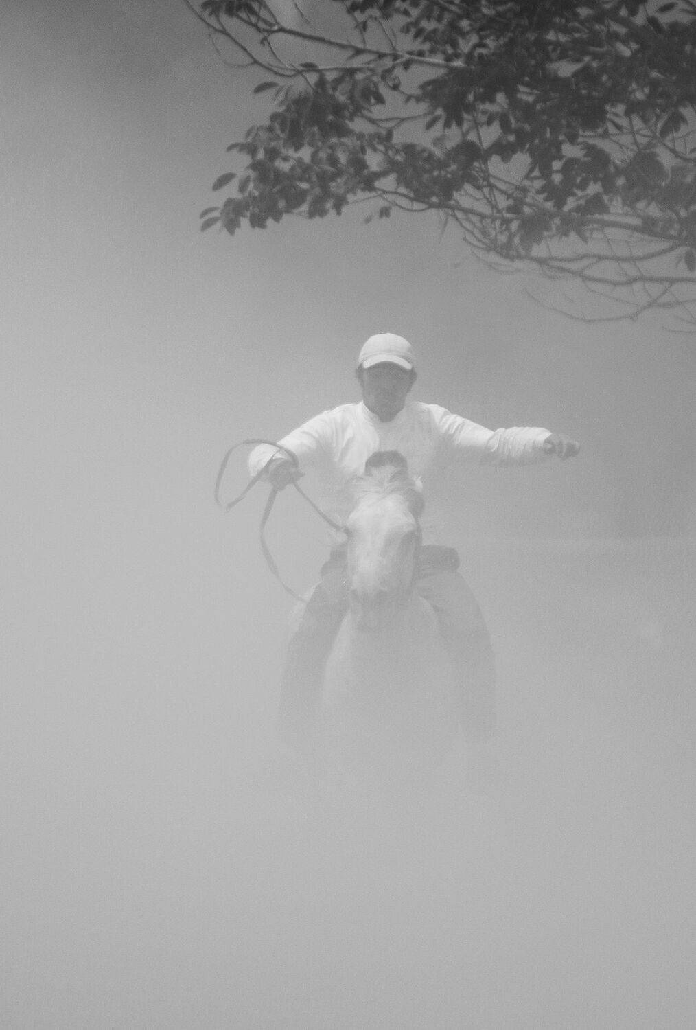 скачки,дагестан,, Marat Magov