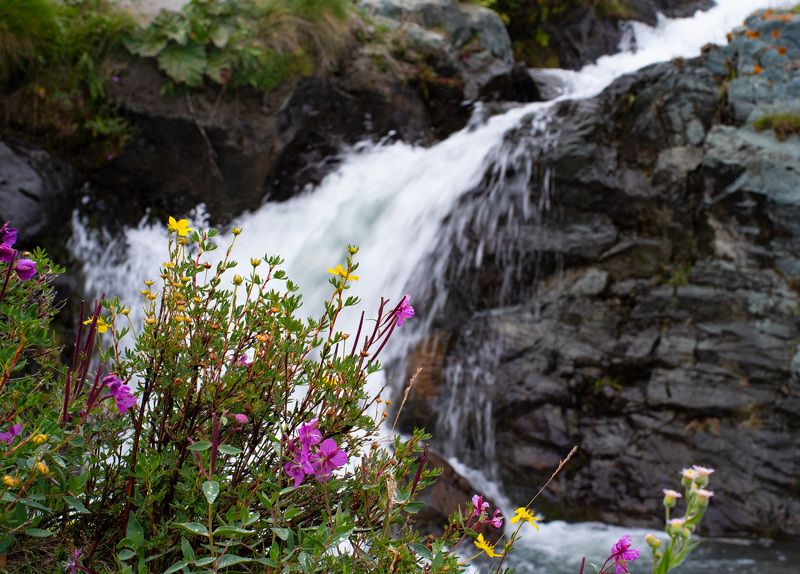 *** фото превью