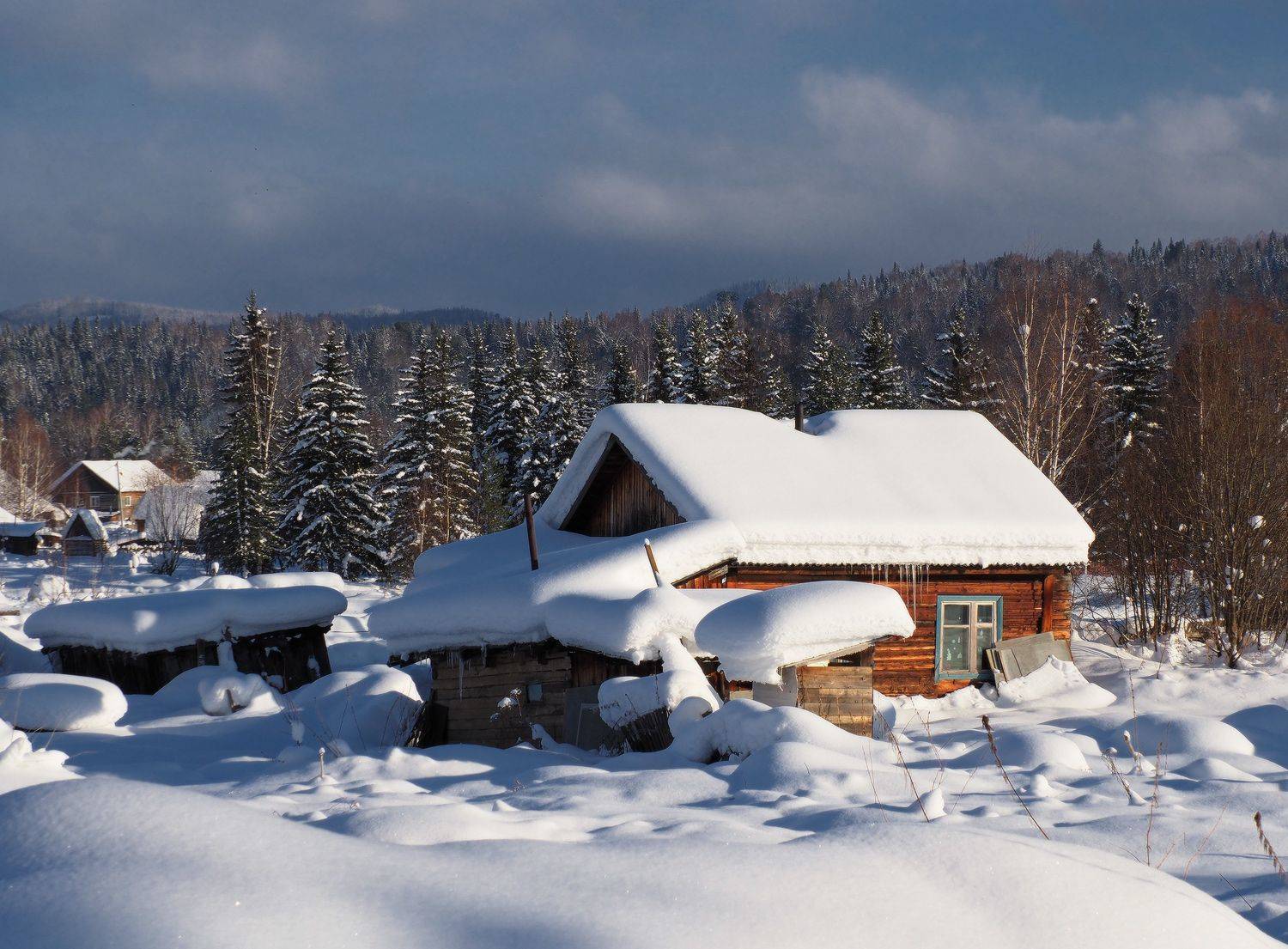 кузбасс, сибирь, междуреченск, майзас, Галина Хвостенко