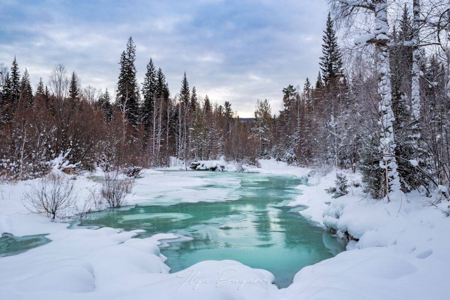 , Илья Буянов