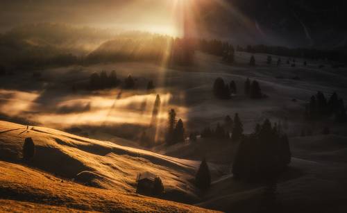 Between the light and shadow