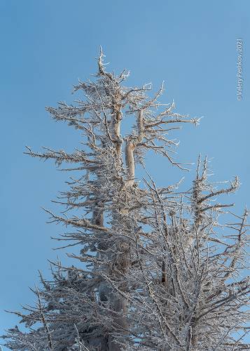 Жизнь после смерти - продолжение