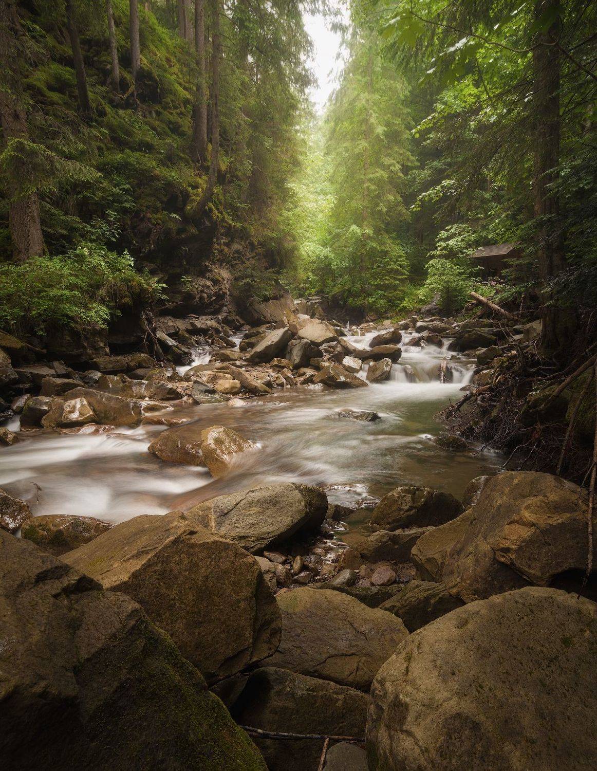 карпаты, украина, река, горы, Назар Рябуха