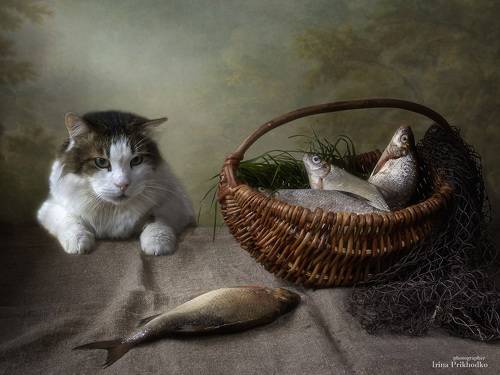 Подкрадываясь незаметно...