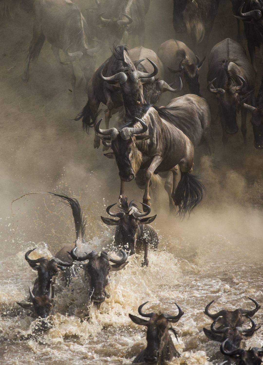 , Гудков Андрей