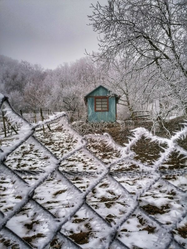 Winter фото превью