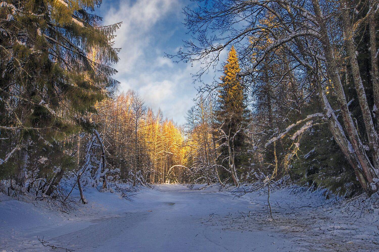 ленинградская обл,рощинка, alexOmRam