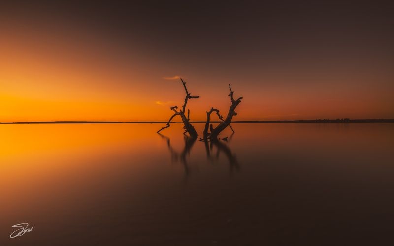 The Core Of Beauty Is Simplicity фото превью