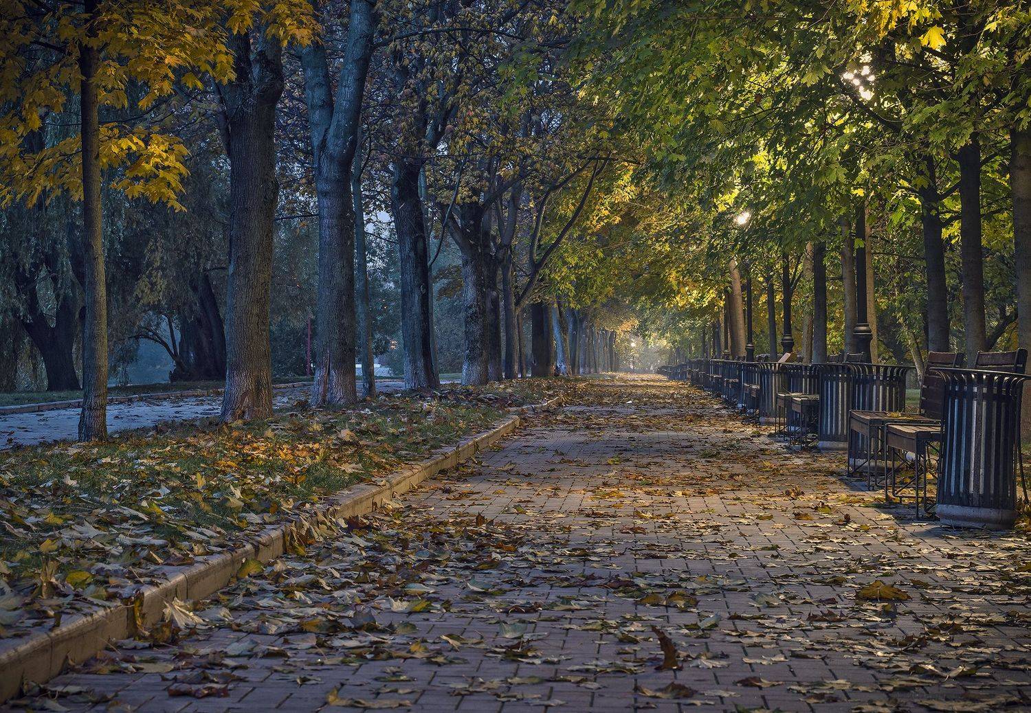 , Бирюков Вячеслав