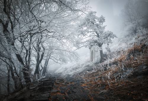  Дорога в сказку...