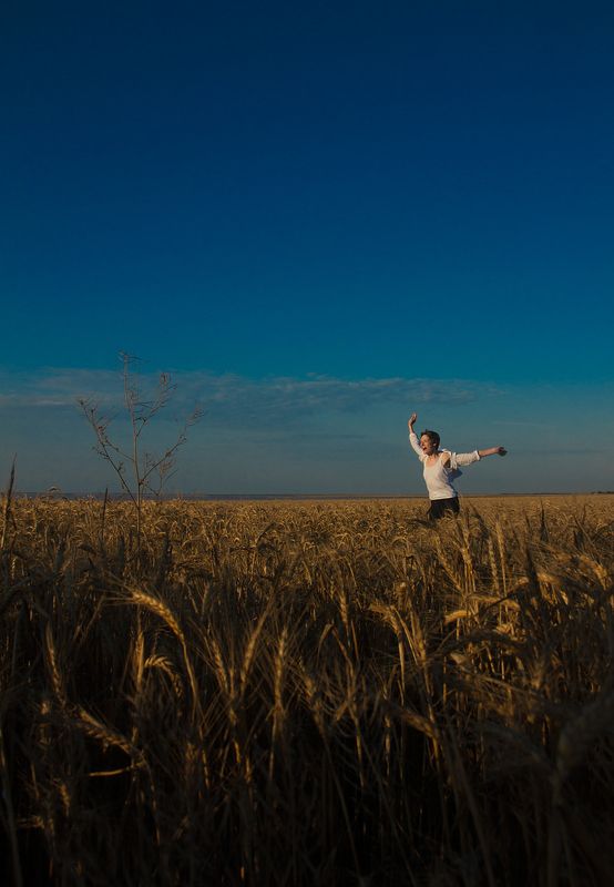 Field, русское поле, рожь  Field  фото превью
