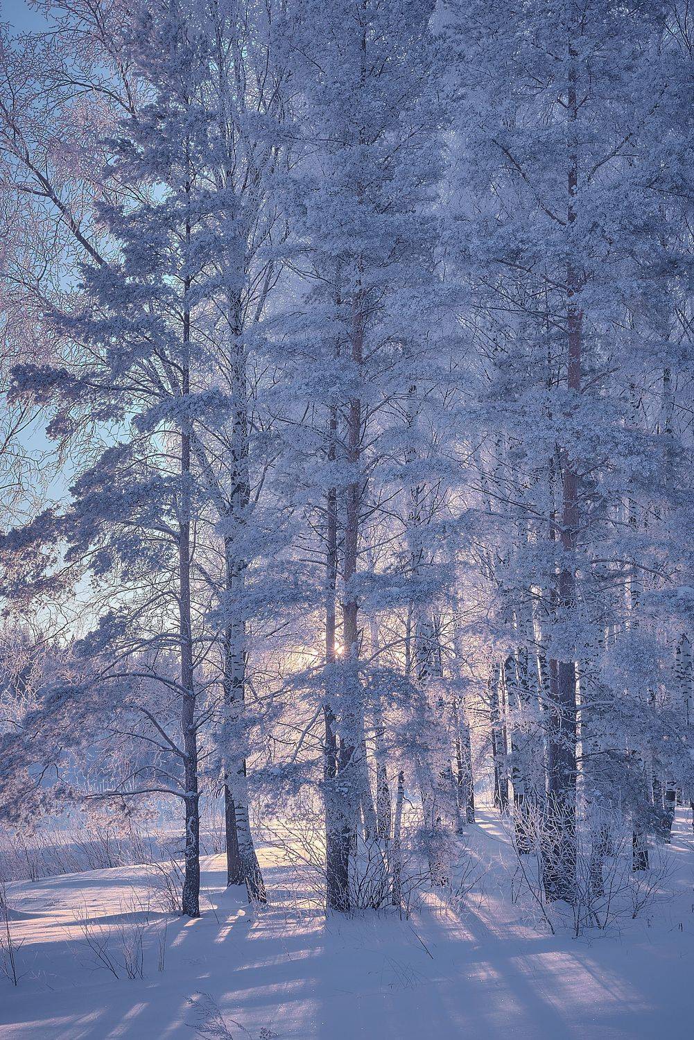 , Владимир Крышковец